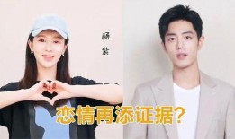 谁爆料肖战杨紫了呢视频,网友热议背后的真相