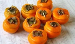 网红小柿吃瓜,揭秘娱乐圈幕后真相