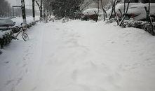 西安爆料大雪视频最新2020,银装素裹，古城焕新颜”